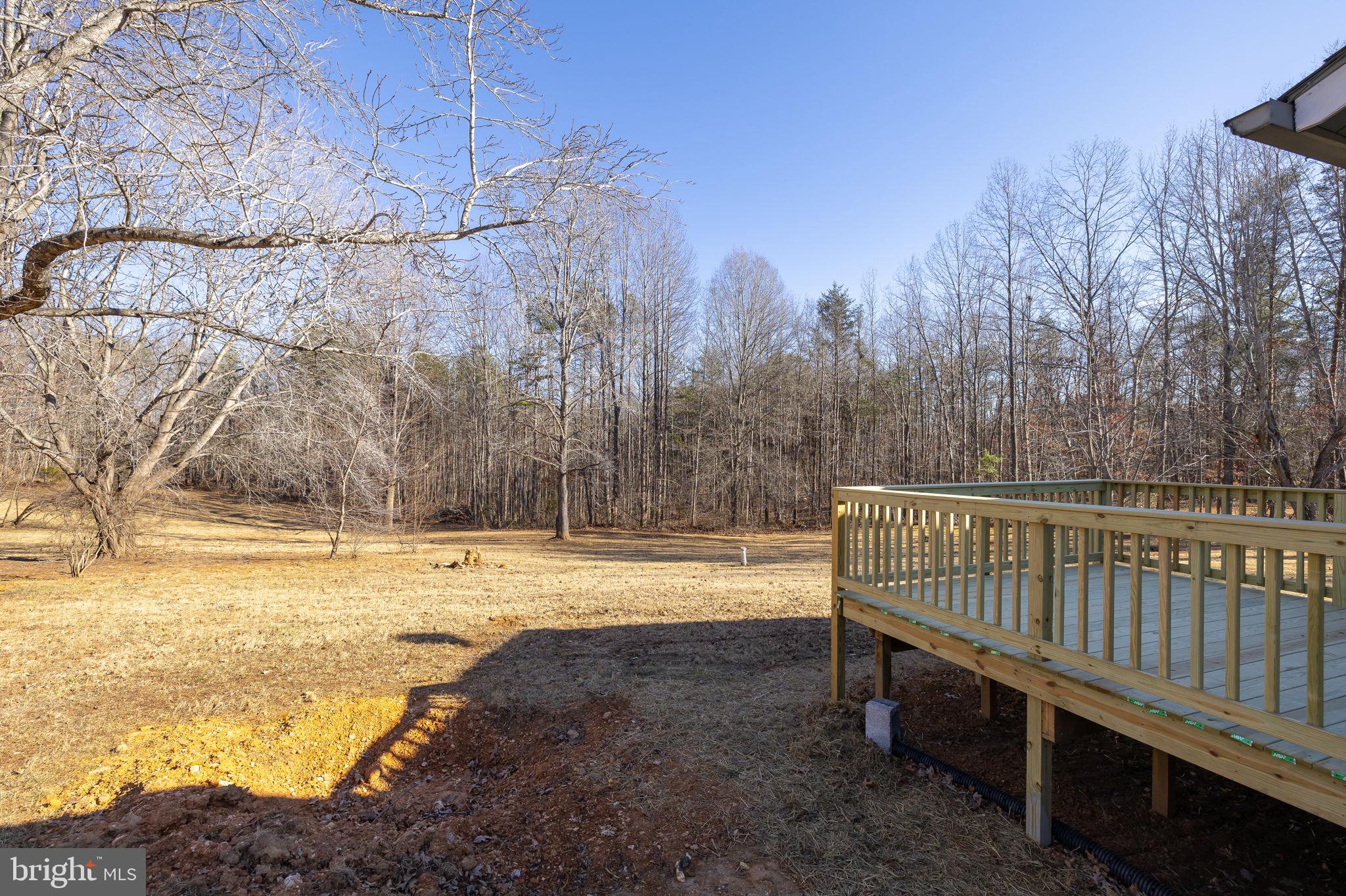 16125 Mountain Track Road Orange, VA 22960 - Photo 40 of 60 New Rear Deck