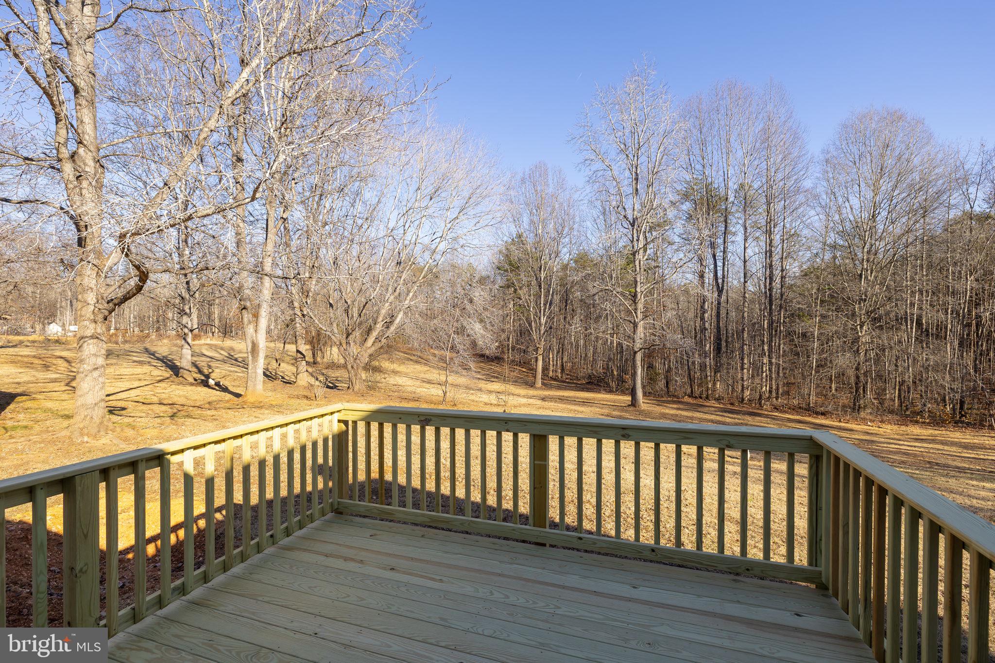 16125 Mountain Track Road Orange, VA 22960 - Photo 41 of 60 New Rear Deck