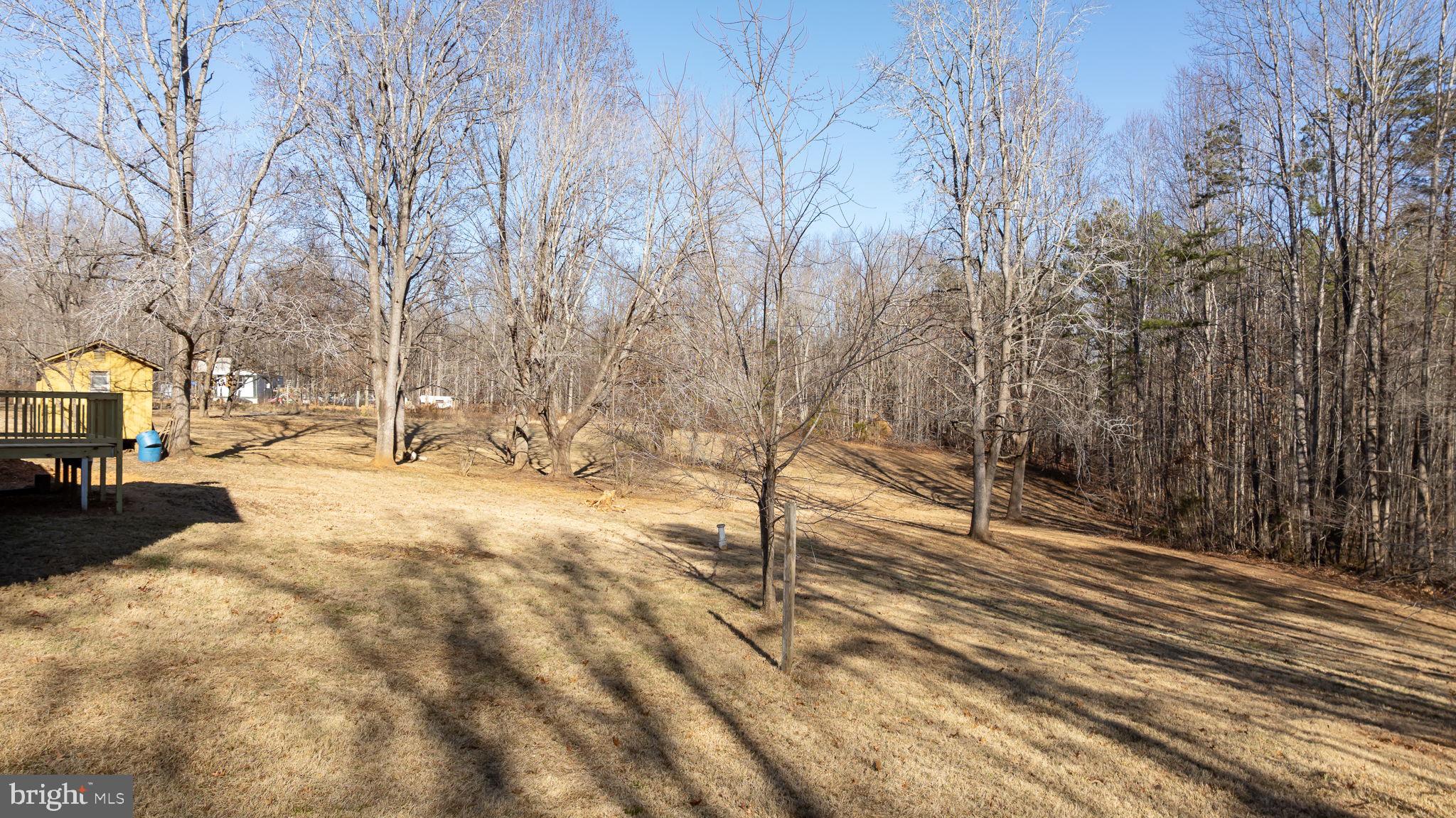 16125 Mountain Track Road Orange, VA 22960 - Photo 46 of 60 Large Yard