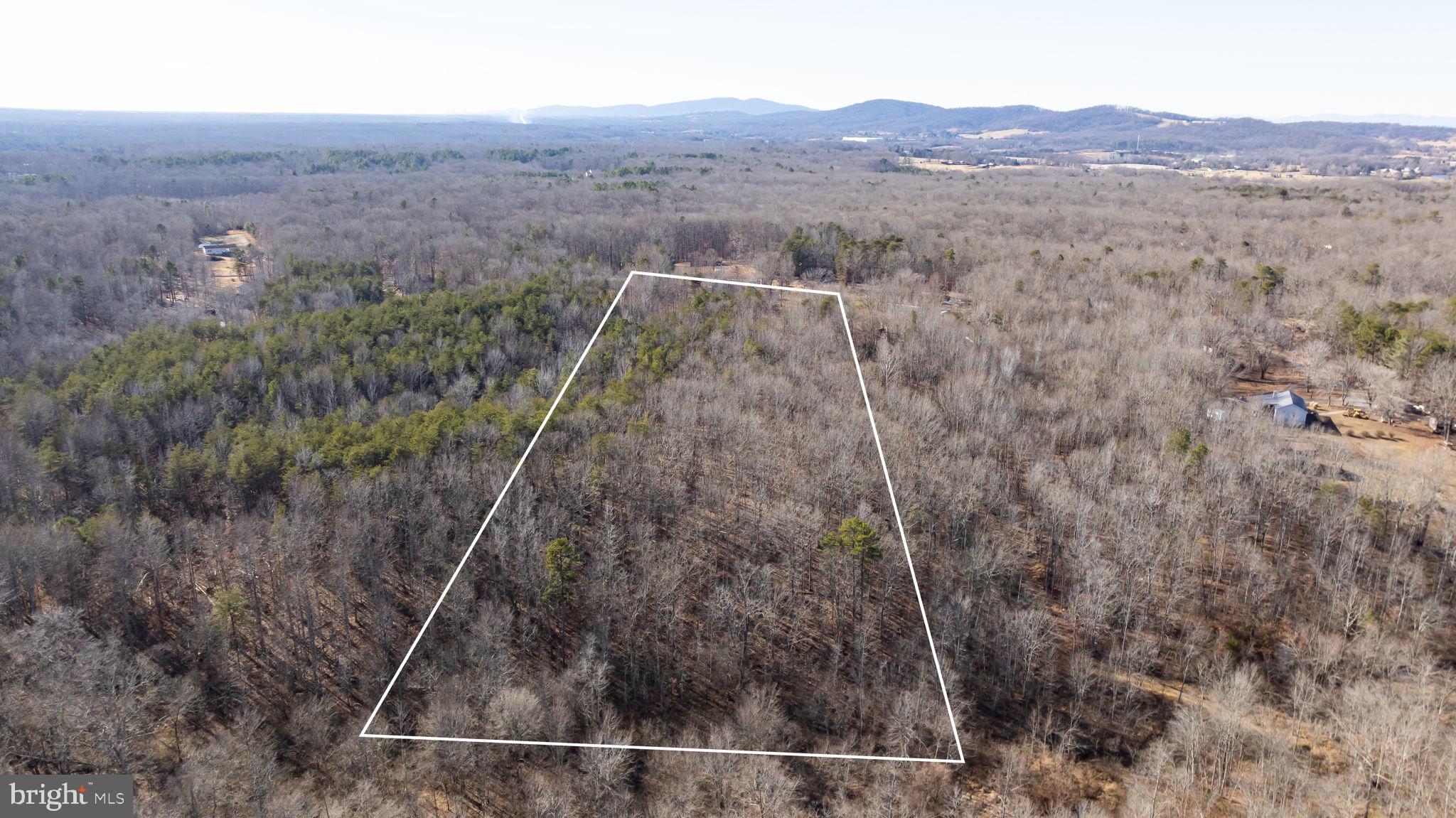 16125 Mountain Track Road Orange, VA 22960 - Photo 48 of 60 a view of a dry yard