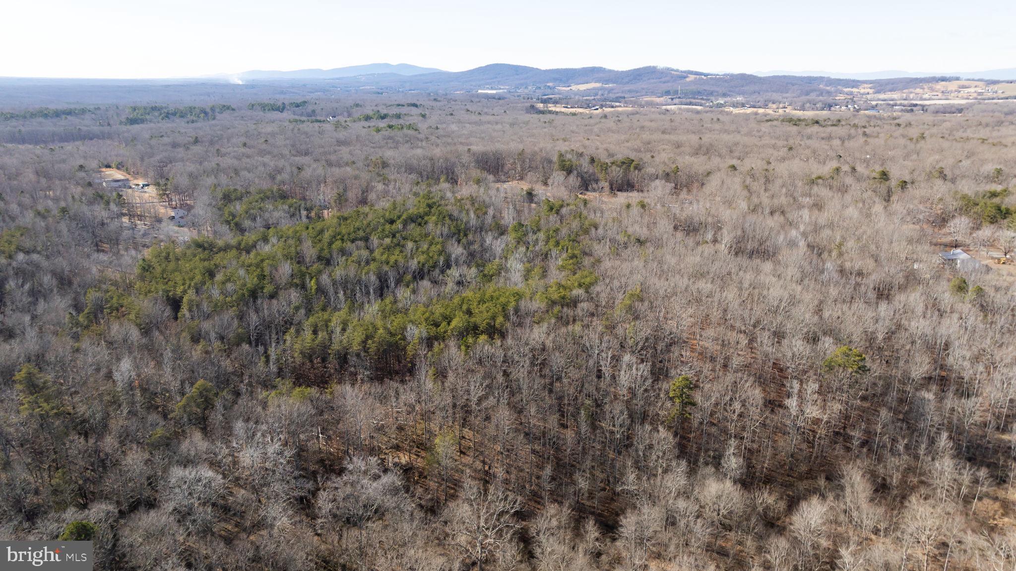 16125 Mountain Track Road Orange, VA 22960 - Photo 50 of 60 a view of a mountain in the distance