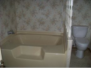 4194 Reedy Creek Road Bristol, VA 24202 - Photo 6 of 9 GARDEN TUB