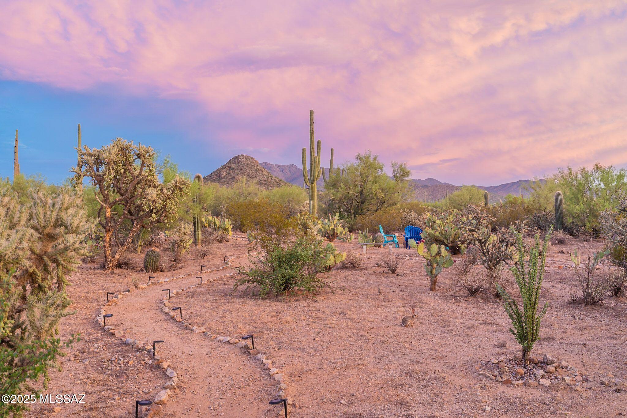 10398 West Ina Road Tucson, AZ 85743 - Photo 40 of 40 Gallery Image 40