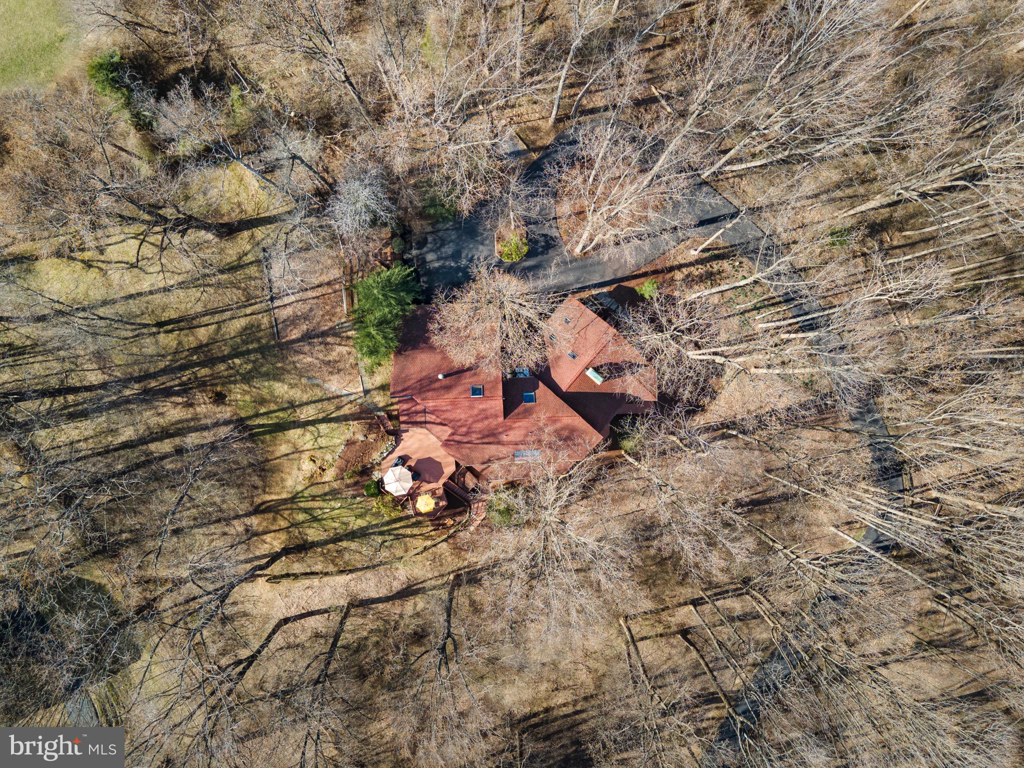 13700 Query Mill Road North Potomac, MD 20878 - Photo 84 of 96 Wooded Lot backing to Parkland