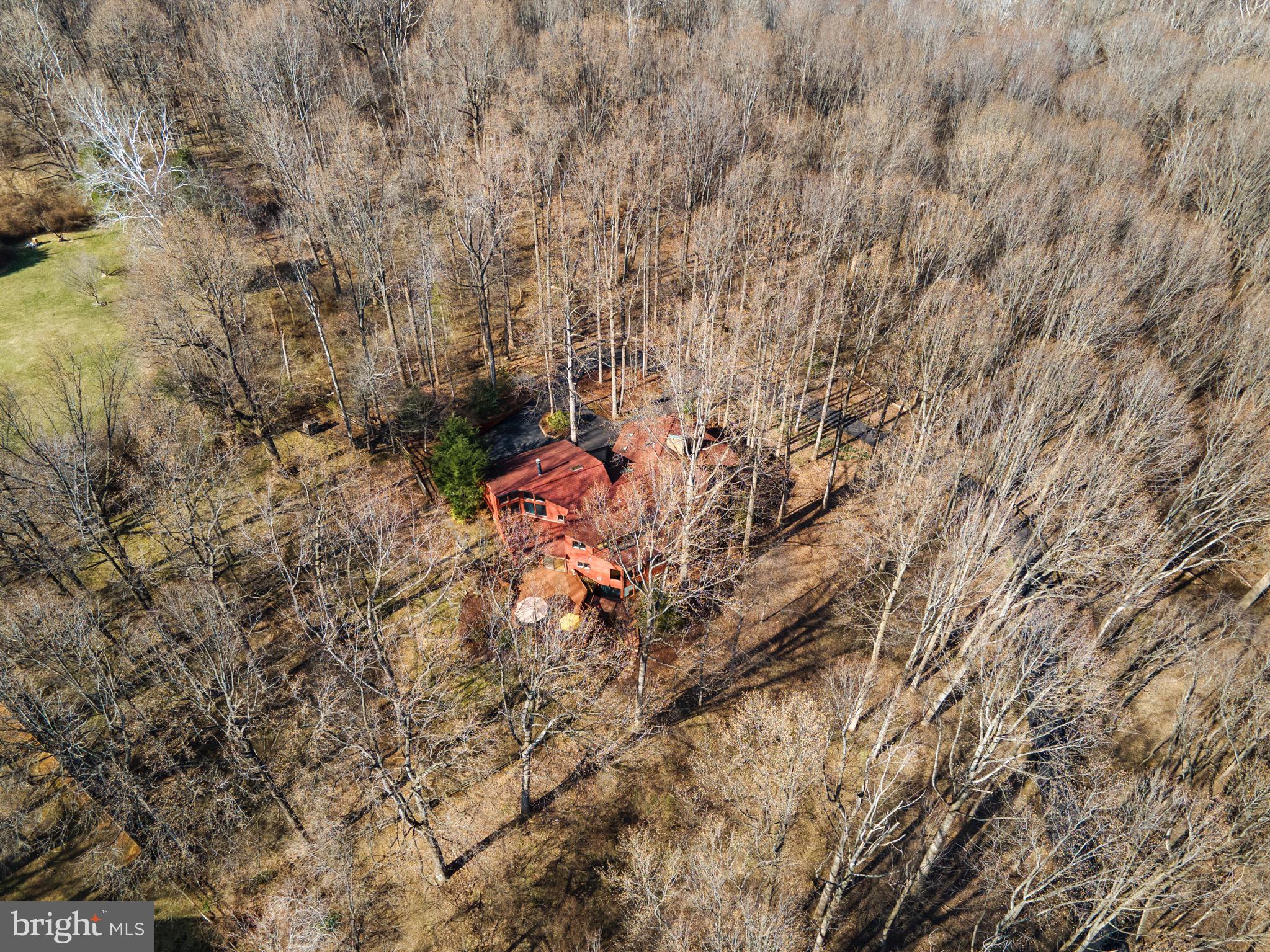 13700 Query Mill Road North Potomac, MD 20878 - Photo 86 of 96 Serene and Private!