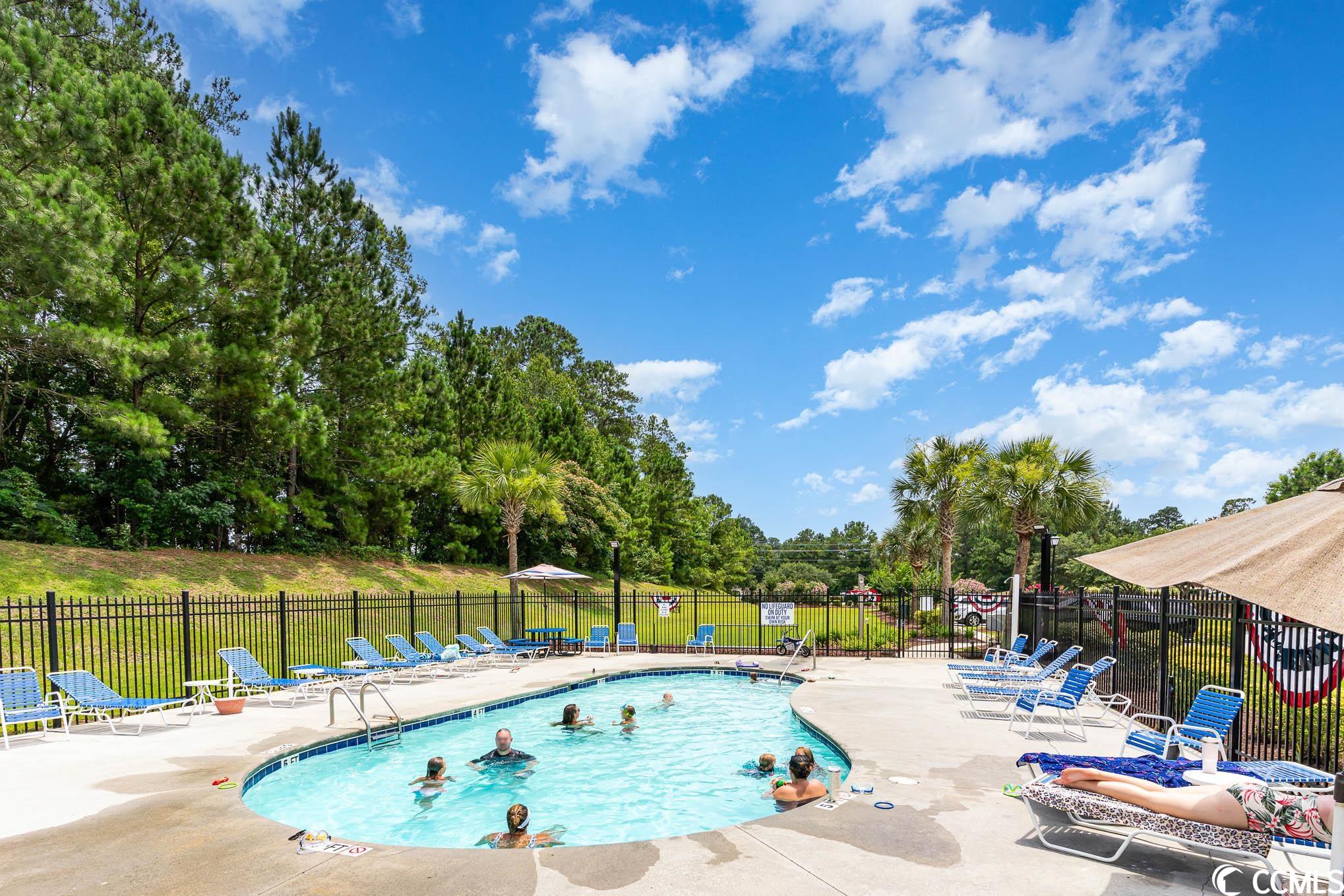 281 Sugar Mill Loop Myrtle Beach, SC 29588 - Photo 5 of 40