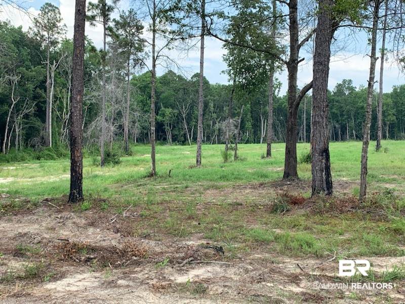 0 Leiterman Road Elberta, AL 36530 - Photo 11 of 13
