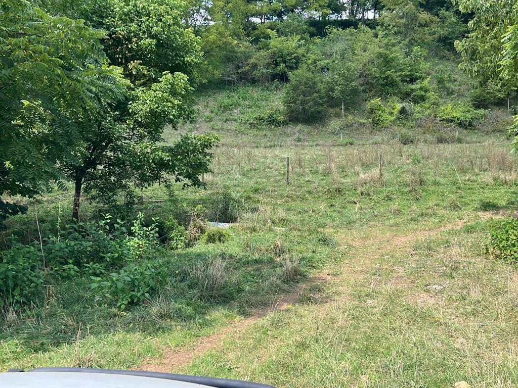 Tbd Romans Ridge Road Honaker, VA 24260 - Photo 43 of 51 Gallery Image 43