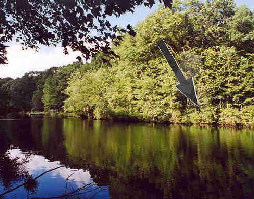 a lake view with boat and trees