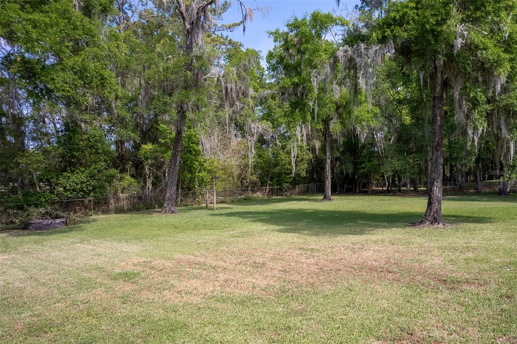 8950 Southeast 17th Court Ocala, FL 34480 - Photo 50 of 61 a view of a park with large trees