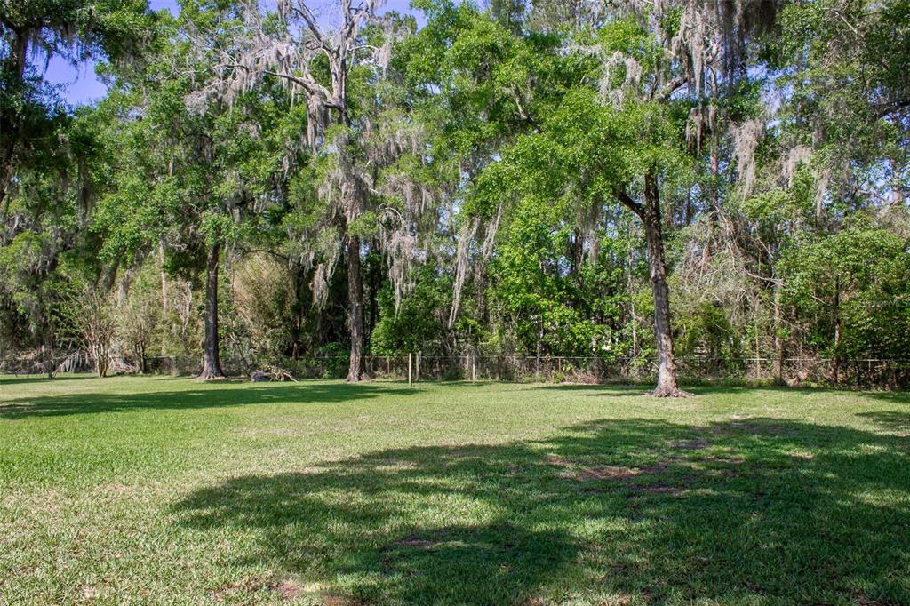 8950 Southeast 17th Court Ocala, FL 34480 - Photo 51 of 61 a grassy field with trees in the background