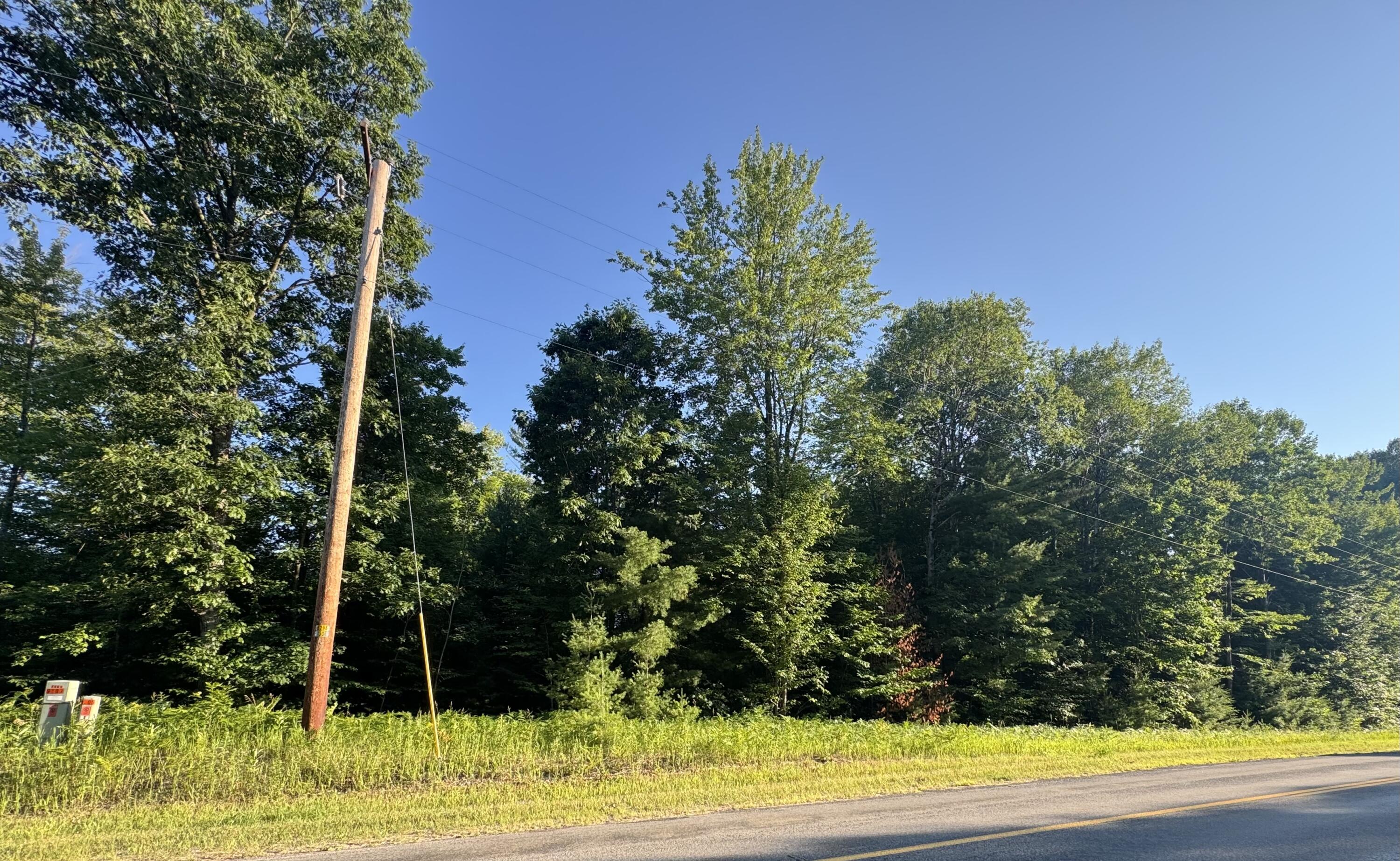 8 East 8 Mile Road Tustin, MI 49688 - Photo 6 of 6 road