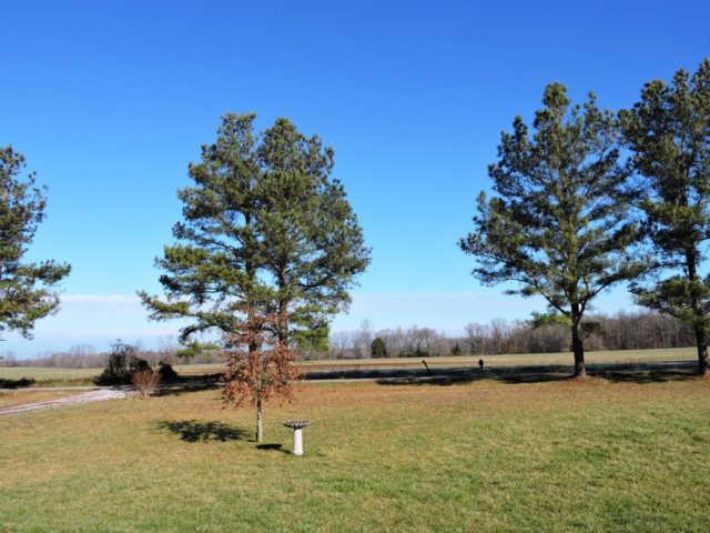 1406 Mud Creek Road Morrison, TN 37357 - Photo 2 of 20 a view of a lake