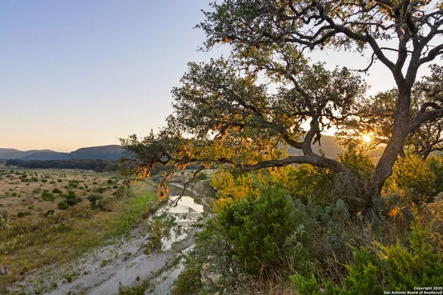 a view of an ocean and beach