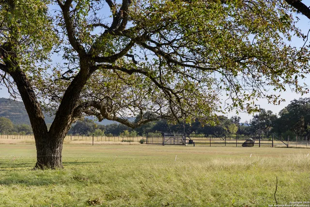 a view of yard with trees