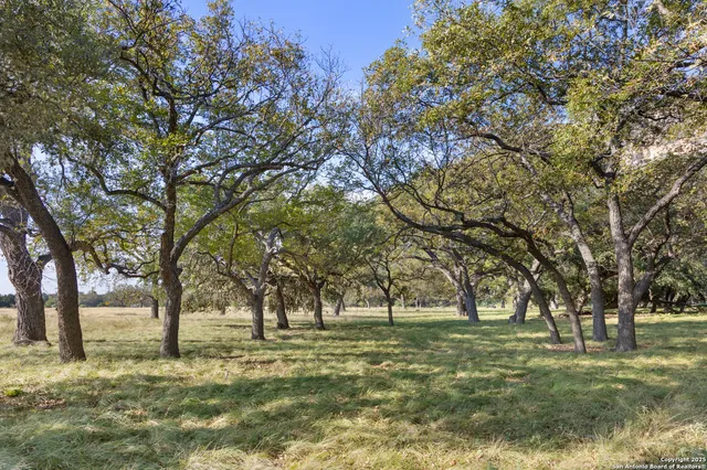 a view of a yard with an trees