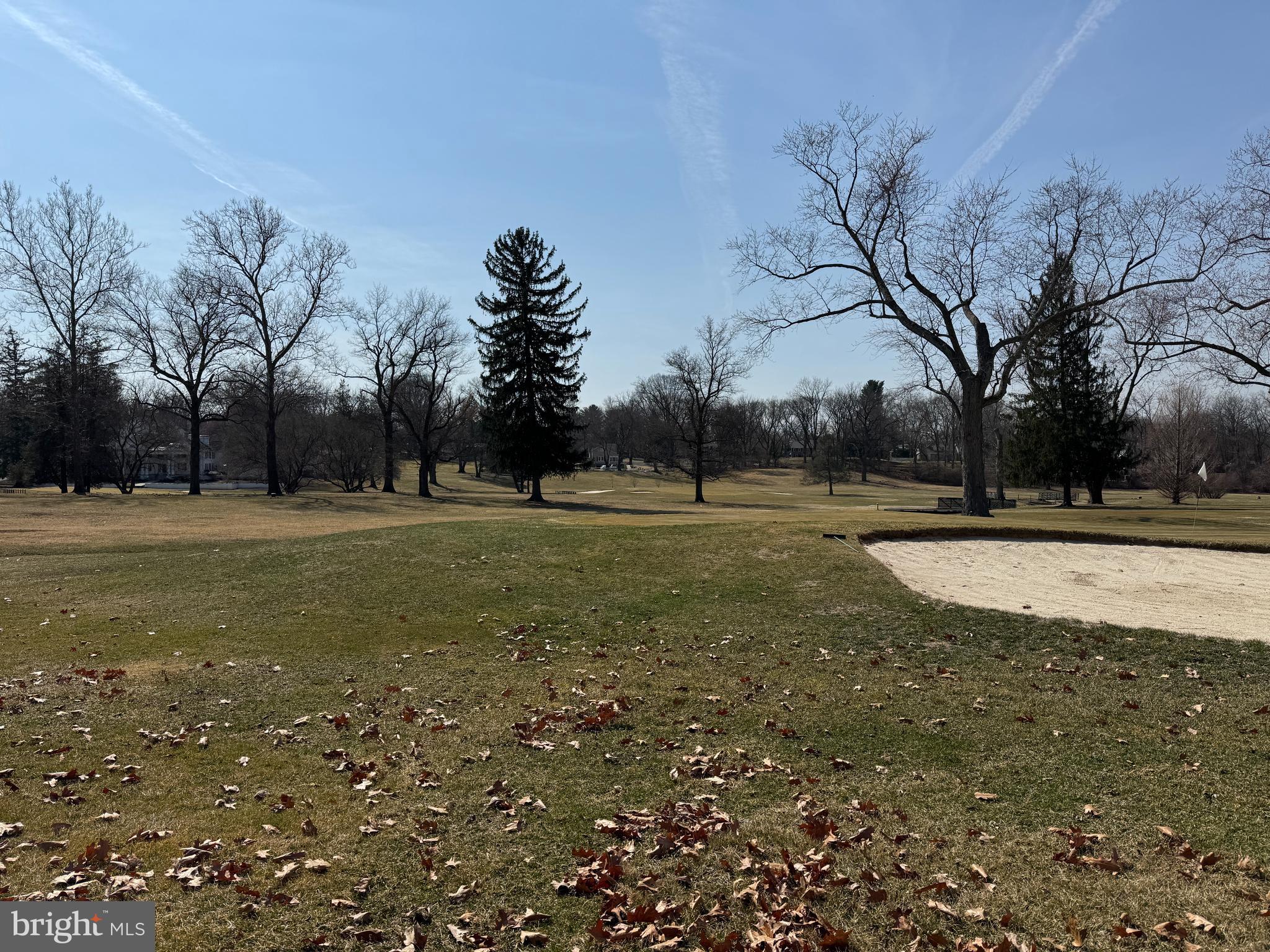 307 Drummers Lane Wayne, PA 19087 - Photo 15 of 16 a view of a ground with trees