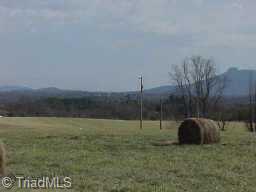 Lot 6 Chilton Road Ararat, NC 27007 - Photo 4 of 4 Other.