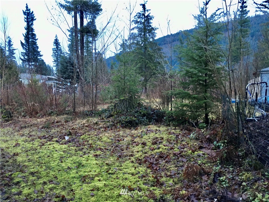 6222 Shamrock Road Maple Falls, WA 98266 - Photo 17 of 39 Gallery Image 17