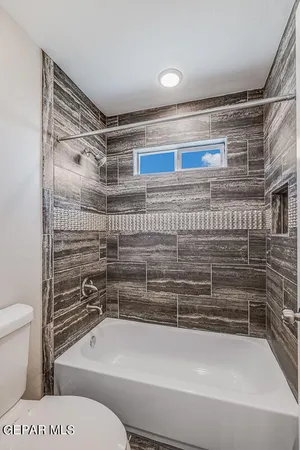 a bathroom with a toilet and a bathtub