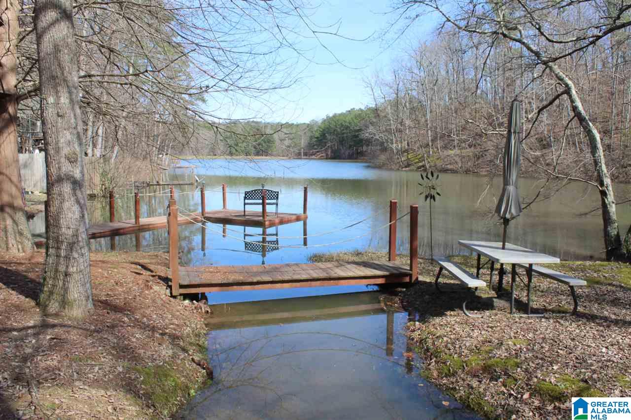 281 County Road 929 Delta, AL 36258 - Photo 19 of 49