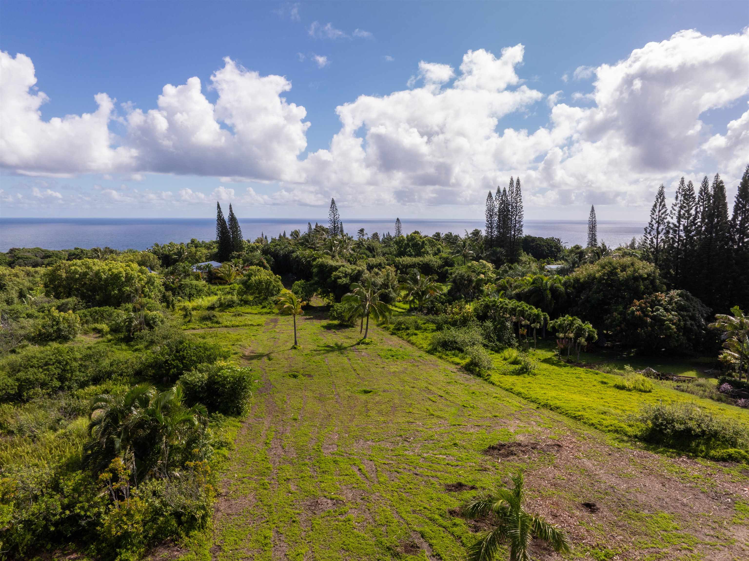 601 North Honokala Road, Unit A Haiku, HI 96708 - Photo 8 of 26