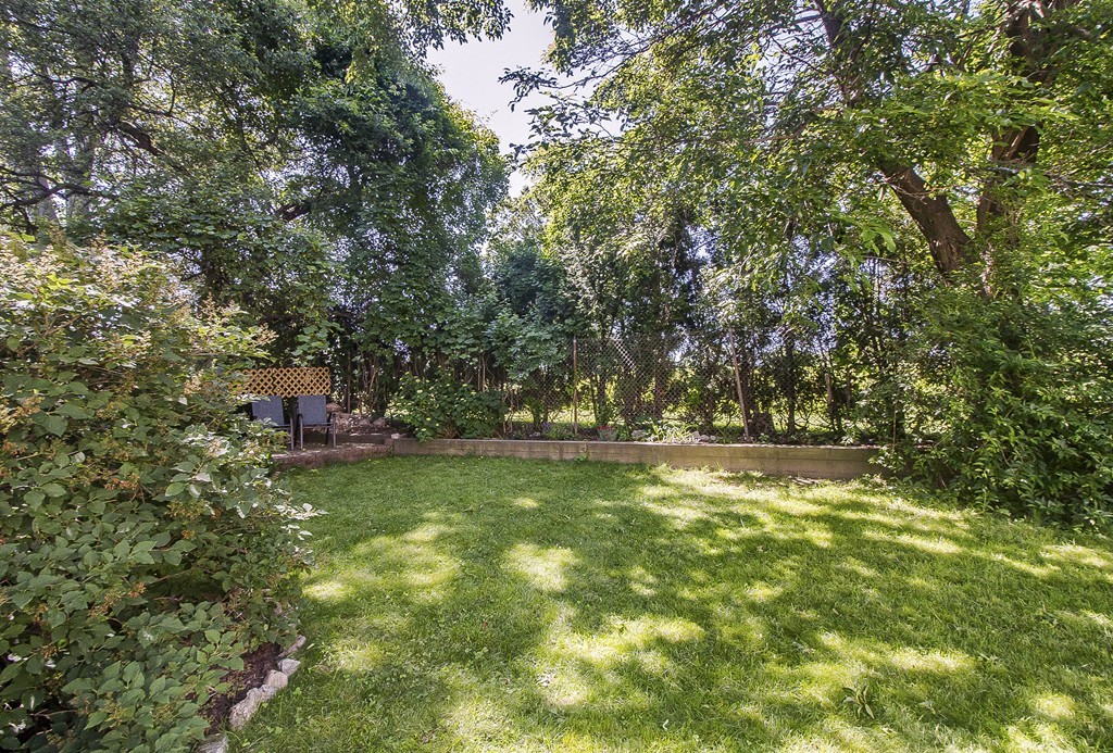 15 Sunset Road, Unit 15 Watertown, MA 02472 - Photo 3 of 25 a view of yard with green space and trees