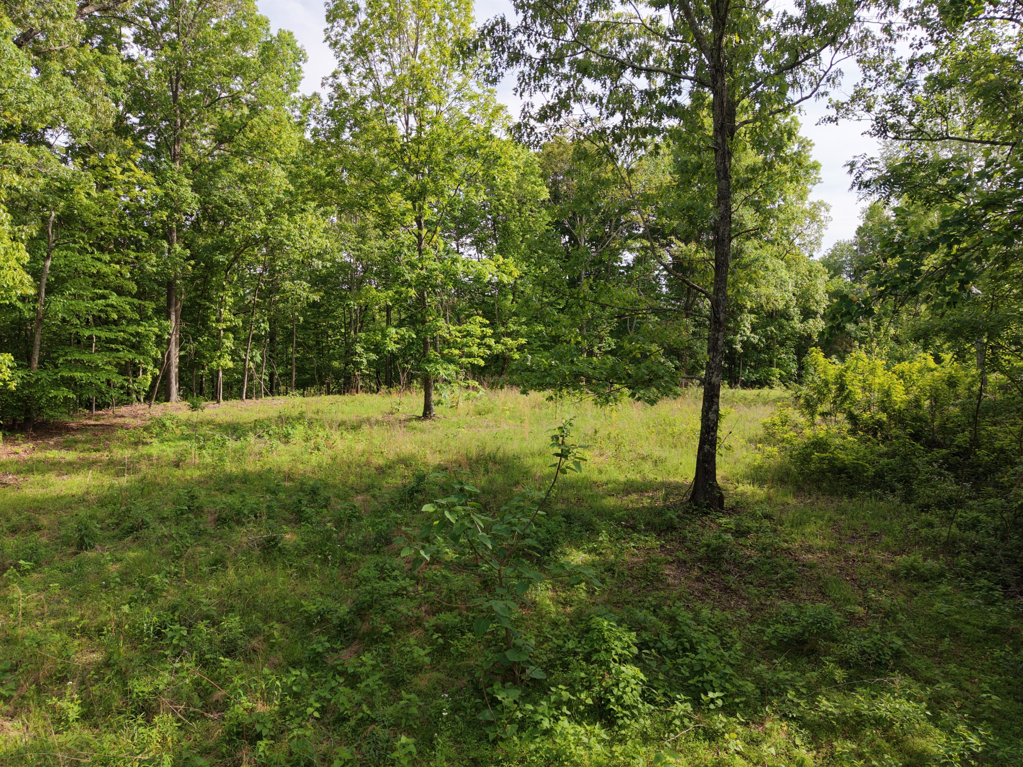0 Bethel Road Prospect, TN 38477 - Photo 10 of 29 Gallery Image 10