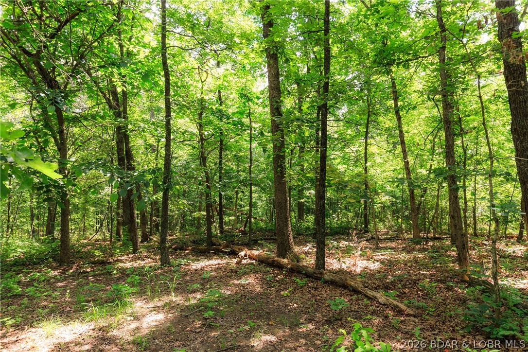400 Hidden Acres Road Camdenton, MO 65020 - Photo 27 of 39