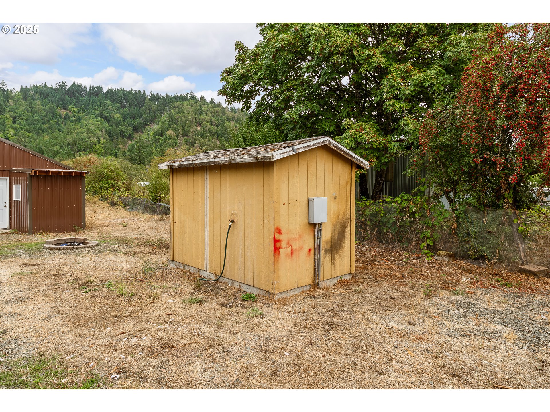161 South Avenue Sutherlin, OR 97479 - Photo 35 of 45 a backyard of a house with lots of green space