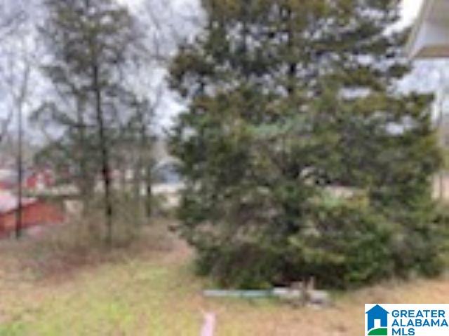 470 Fish Trap Road Cropwell, AL 35054 - Photo 12 of 37