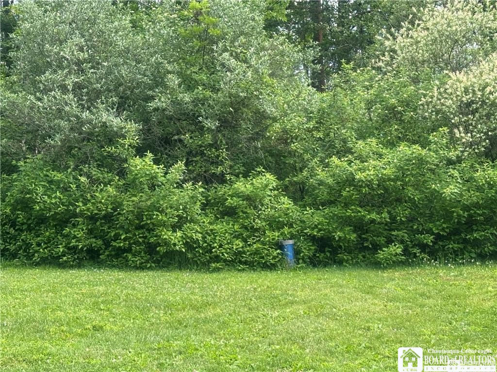 13170 Transit Line Road Concord, NY 14141 - Photo 27 of 27