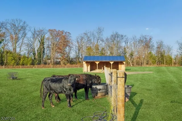 a view of a couches in the roof deck