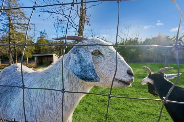 a picture of a book and a bed