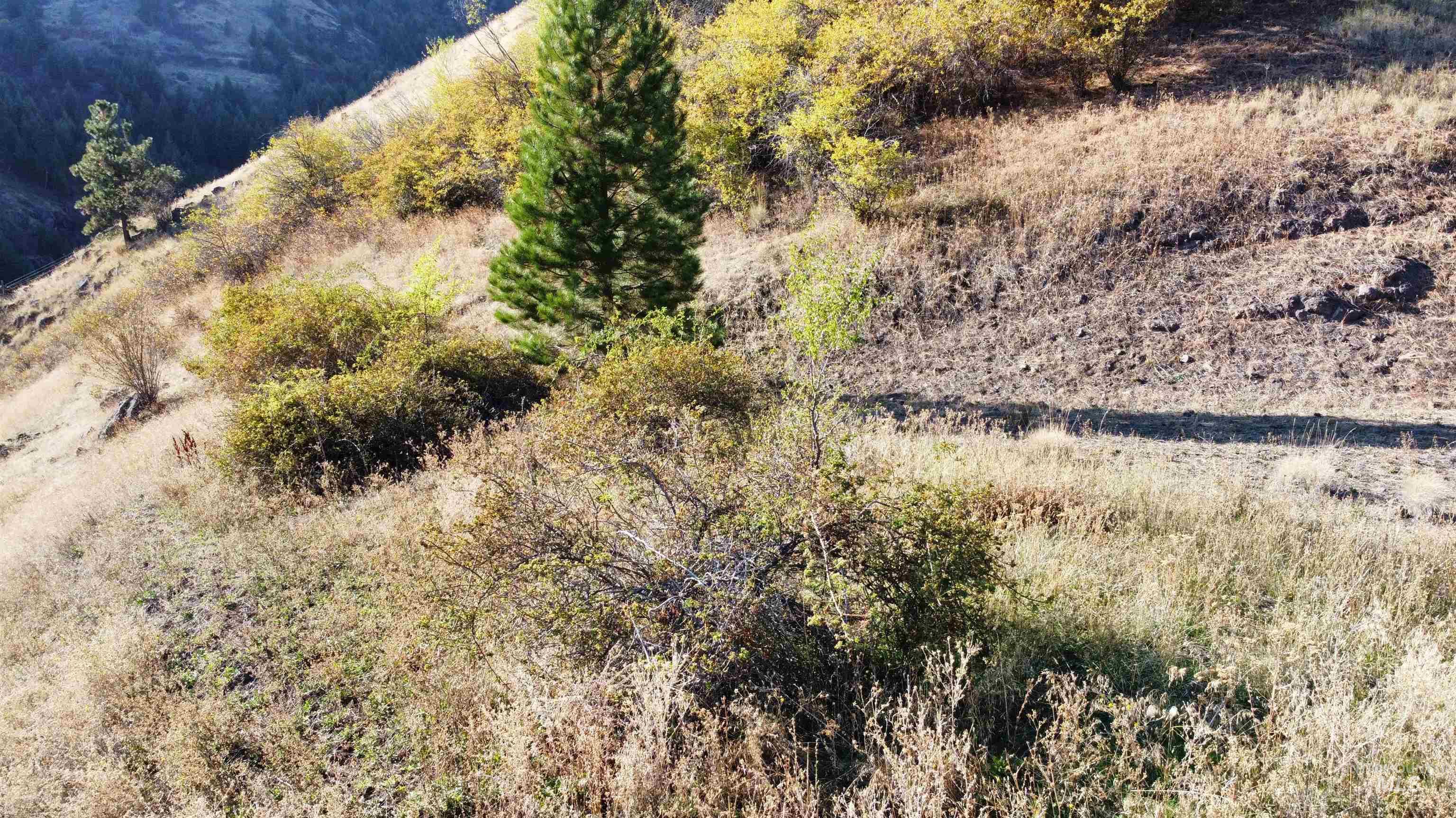 Tbd Big Canyon Road White Bird, ID 83554 - Photo 23 of 25 Gallery Image 23