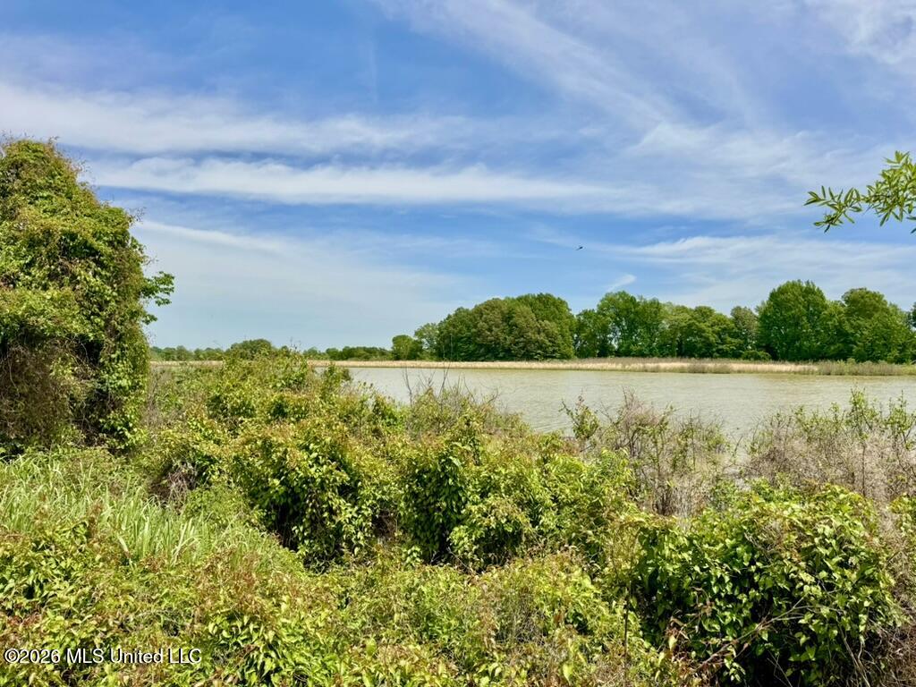 1 Highway 3 Lambert, MS 38643 - Photo 37 of 102 8EED8897-1F90-4417-9C99-81294AD6115B_1_1