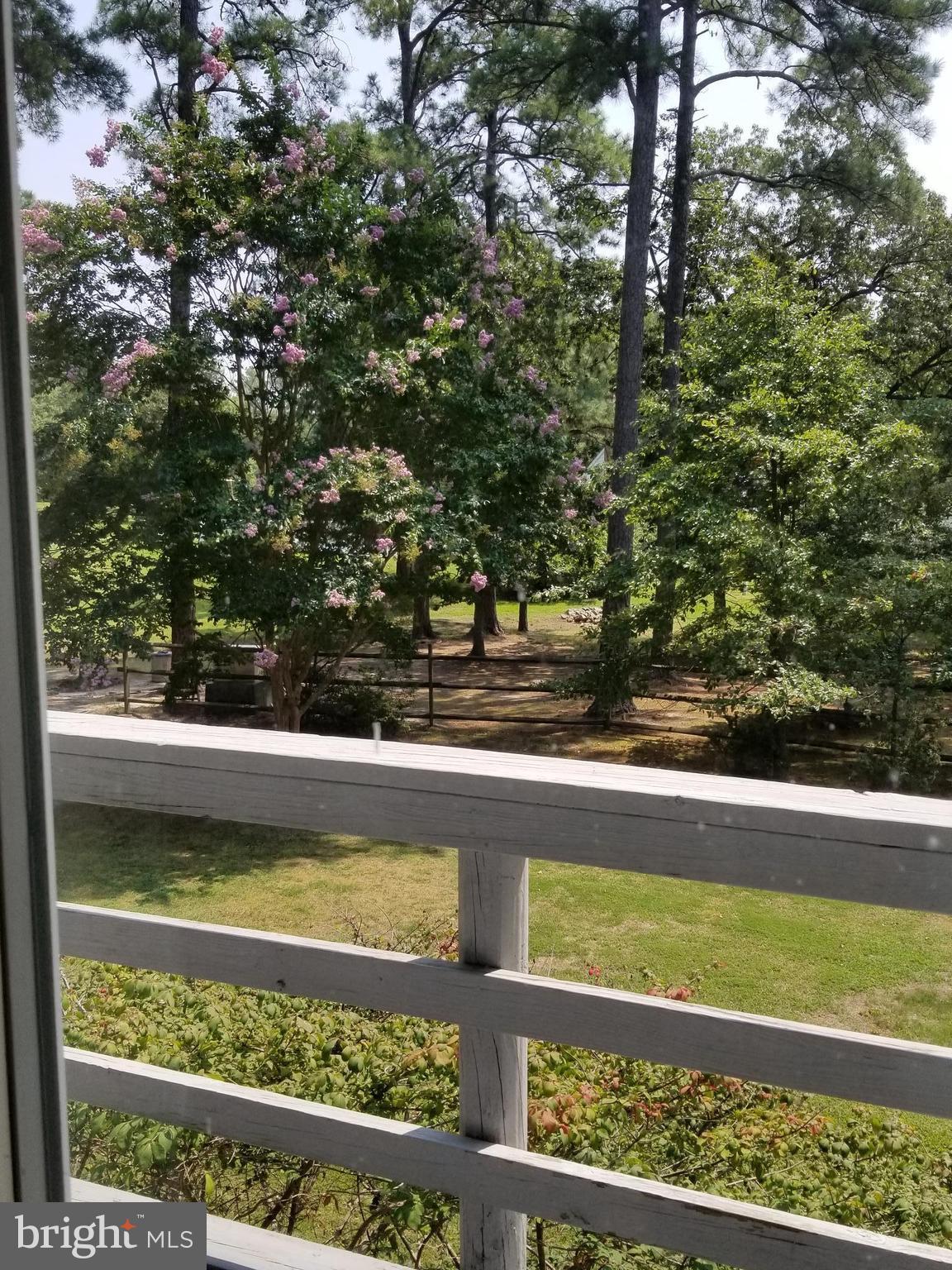 5380 Cassons Neck Road Cambridge, MD 21613 - Photo 5 of 30 View