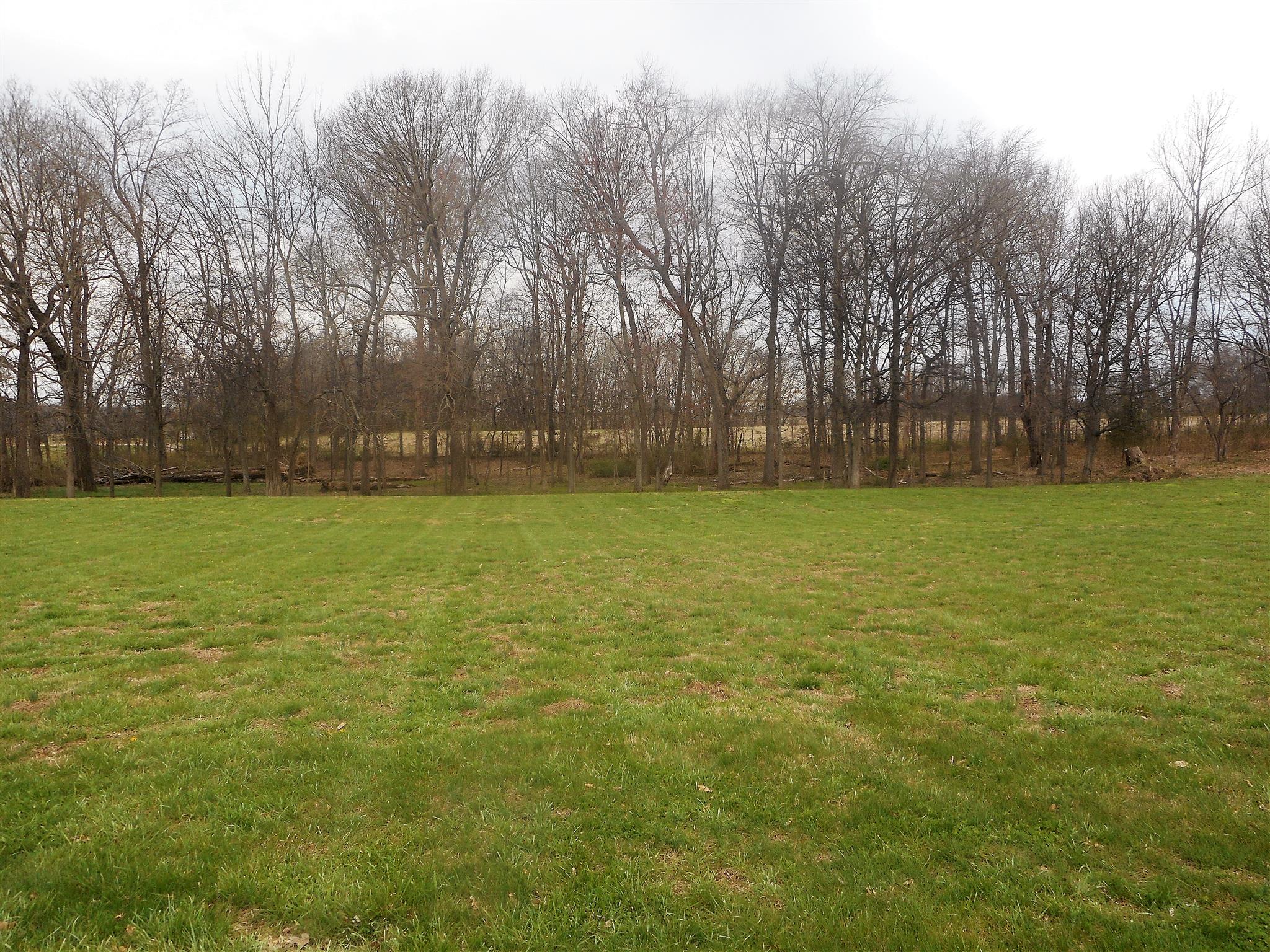 4202 Roy Cole Road Springfield, TN 37172 - Photo 16 of 17 a view of a field with trees in the background