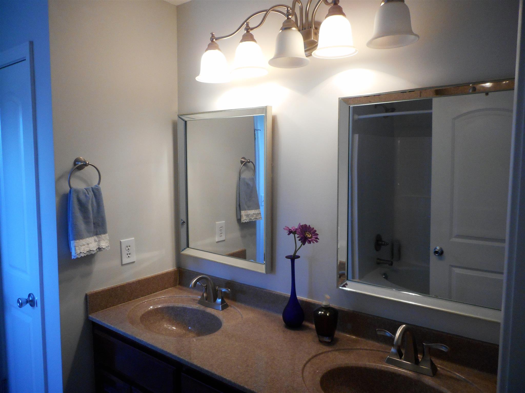 4202 Roy Cole Road Springfield, TN 37172 - Photo 7 of 17 a bathroom with a sink and a mirror