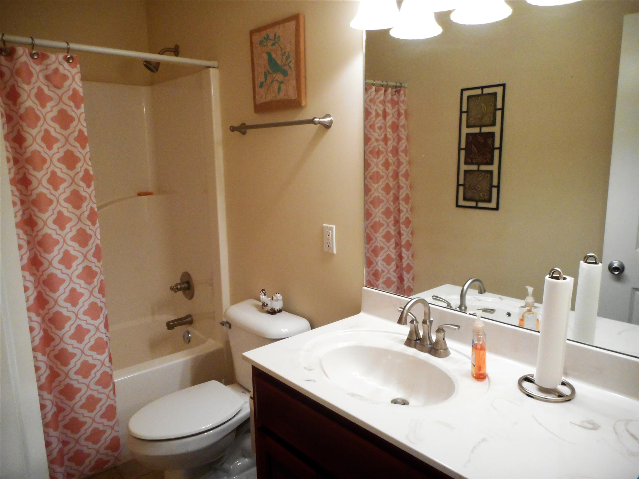 4202 Roy Cole Road Springfield, TN 37172 - Photo 9 of 17 a bathroom with a sink toilet and shower