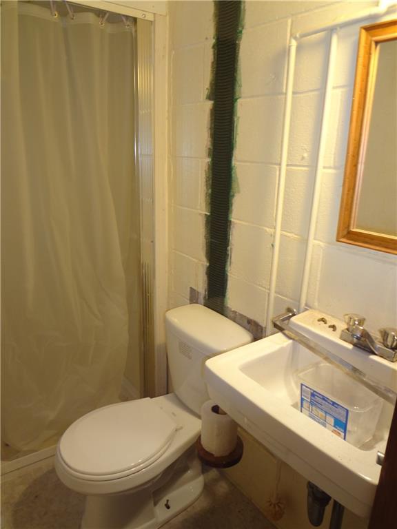 303 Madison Heights Road New Stanton, PA 15672 - Photo 22 of 23 Basement Bathroom with Wall Straps.