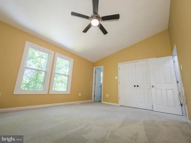 a view of a park with large trees