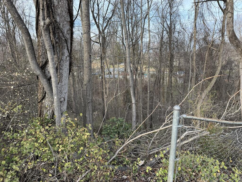 213 Merriman Road Fieldale, VA 24089 - Photo 15 of 18 IMG_1113