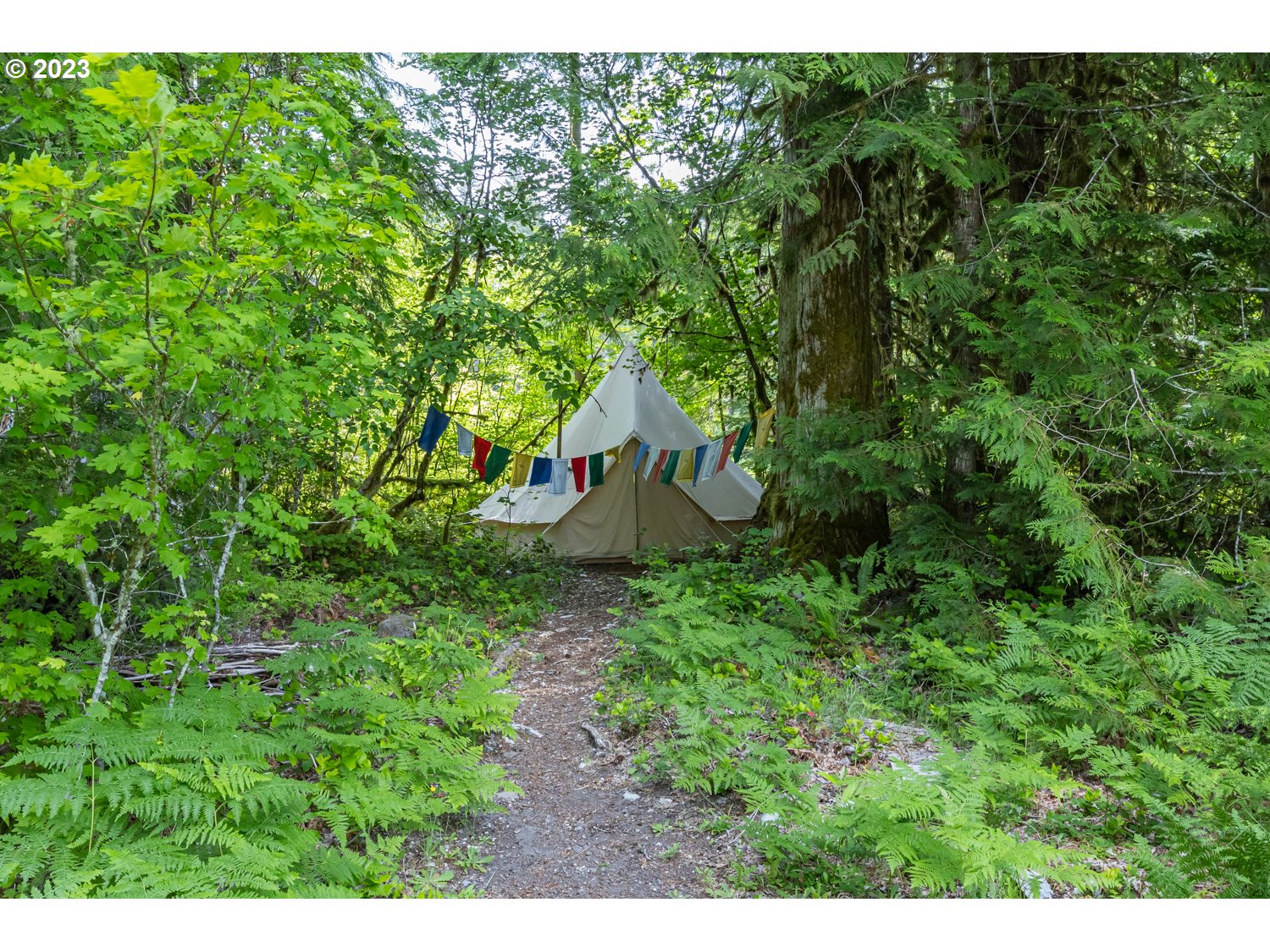 20550 East Lolo Pass Road Rhododendron, OR 97049 - Photo 37 of 48 Gallery Image 37