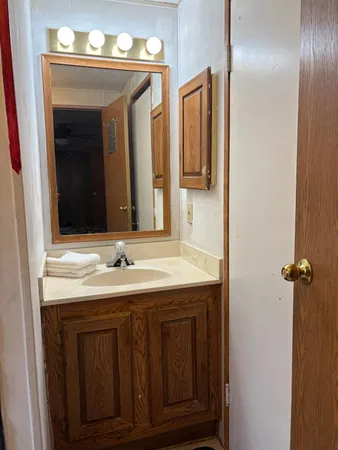 a bathroom with a sink and a mirror
