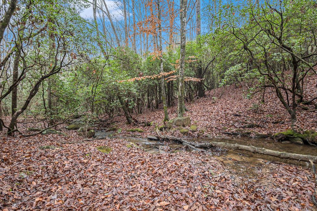 586 Barnes Chapel Road Blue Ridge, GA 30513 - Photo 46 of 53 Gallery Image 46