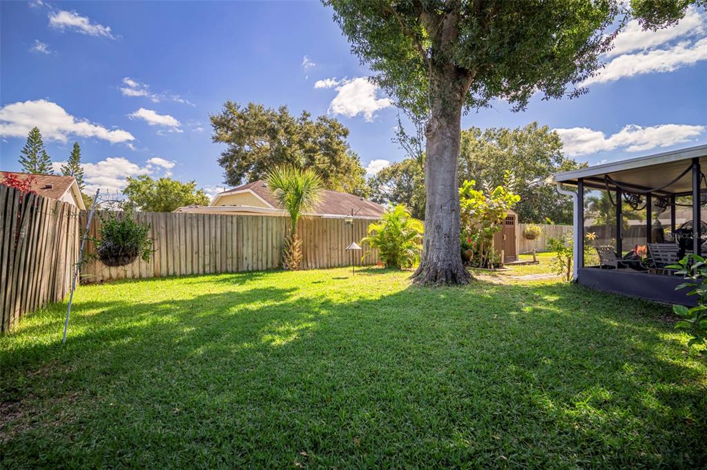 11305 Silverleaf Court Riverview, FL 33579 - Photo 37 of 39 a view of a house with backyard and a tree