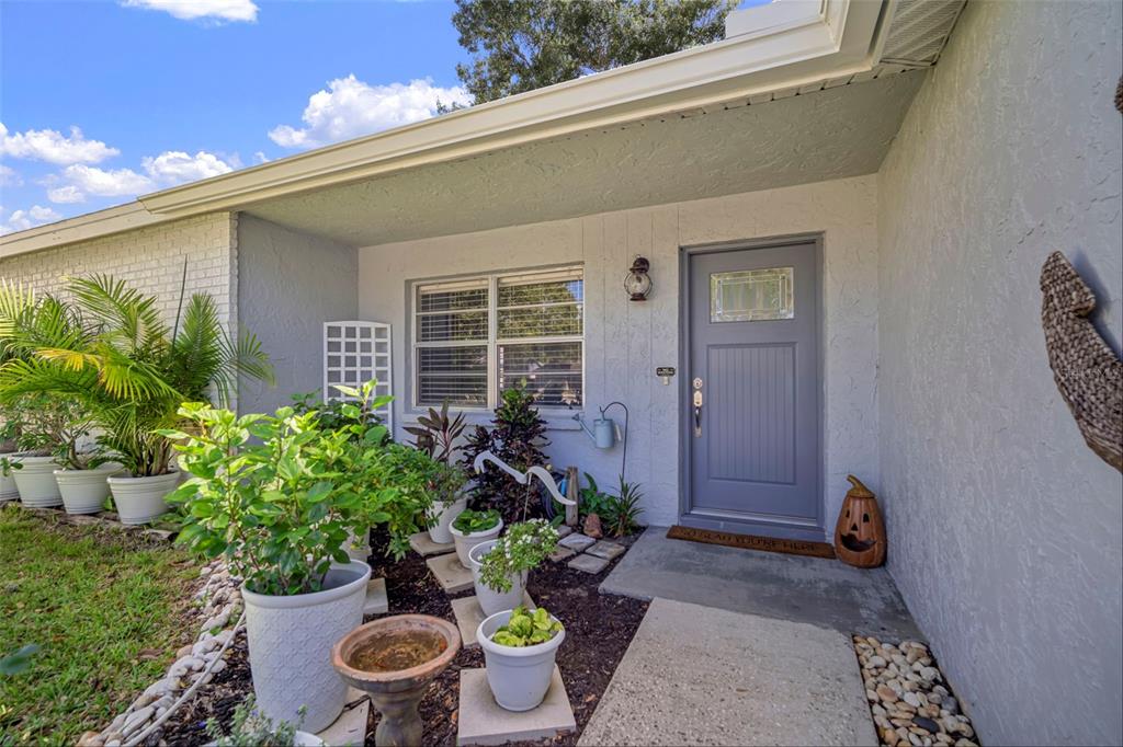 11305 Silverleaf Court Riverview, FL 33579 - Photo 7 of 39 a house with lots of potted plants