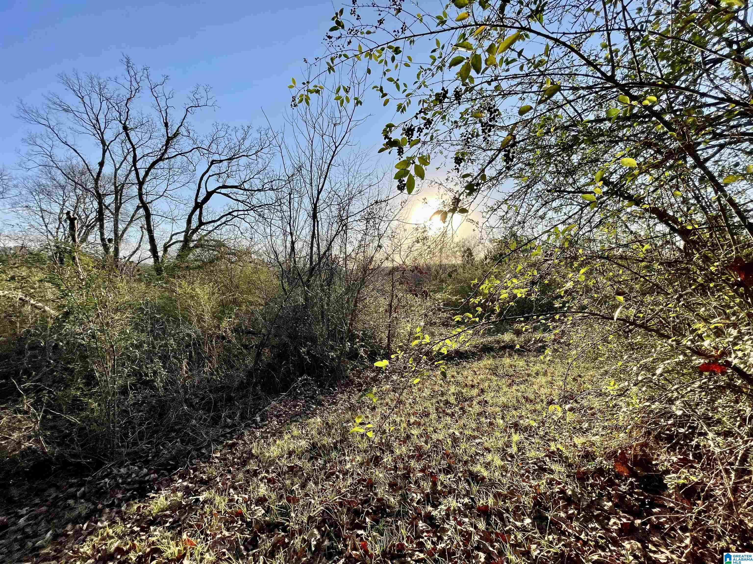 263 Westover Road Anniston, AL 36201 - Photo 24 of 61