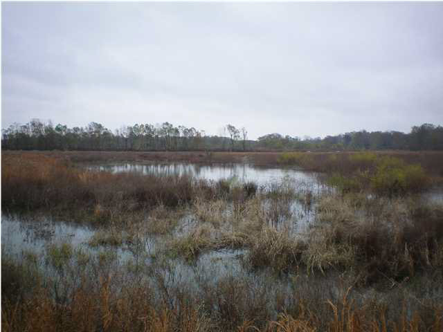 0 Darden Road Rolling Fork, MS 39159 - Photo 1 of 6 Photo 1